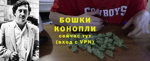 тгк Верея