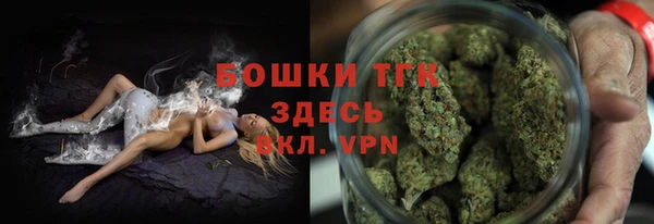 тгк Верея