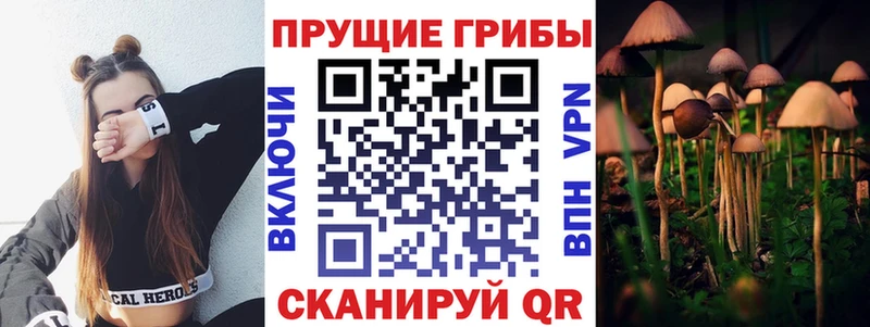 Псилоцибиновые грибы прущие грибы  Южно-Сахалинск 